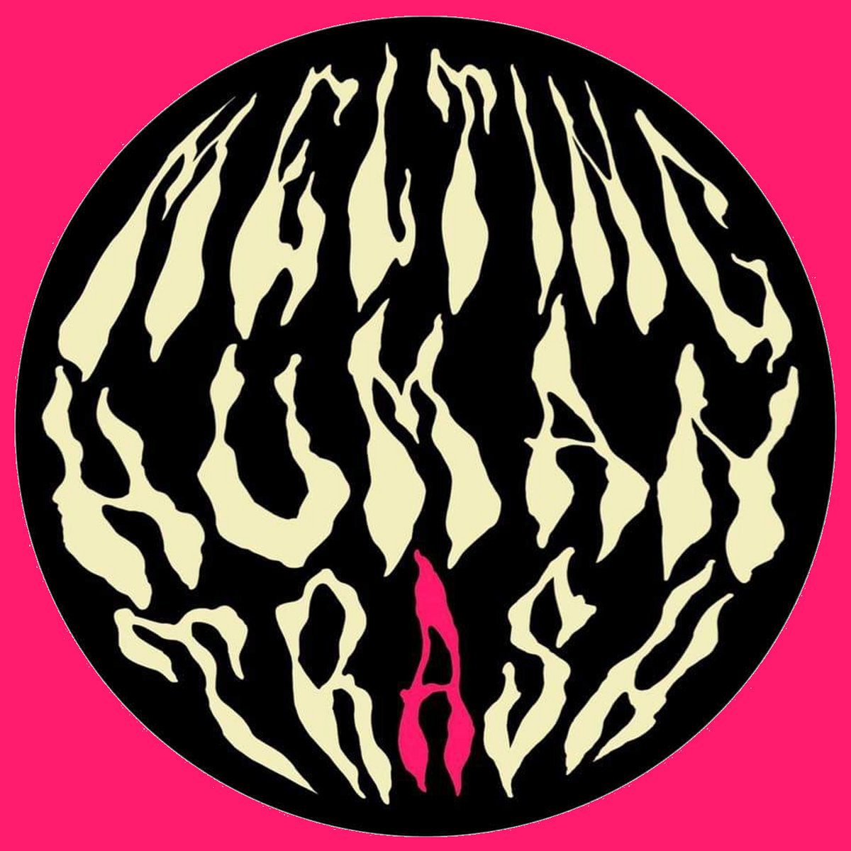 Melting Human Trash Compact Disc