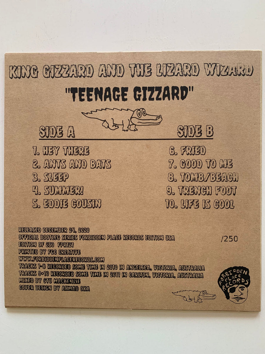 King Gizzard and the Lizard Wizard - "Teenage Gizzard" Turtle Soup Vinyl LP