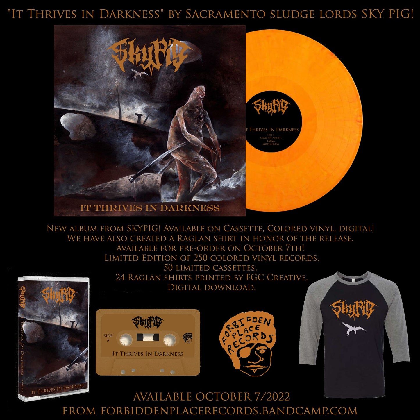 Sky Pig - "It Thrives in Darkness" Orange Vinyl LP Pre-Order